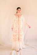 Nayab Festive Collection 24’ ( BFNF-004)